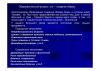 2012.10.27_Kudriavtceva_T.P._03.jpg