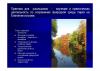 2012.10.27_Kudriavtceva_T.P._23.jpg